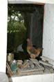 monchausse_15