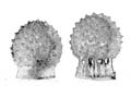 monchausse_35