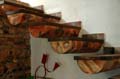 linard_11