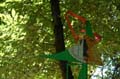 linard_74