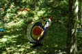linard_78
