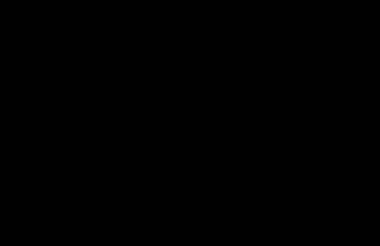 pammachius_20